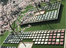 神戸市の樹木葬